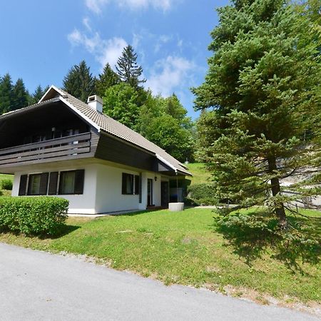 Holiday Home Davca Церкно Экстерьер фото